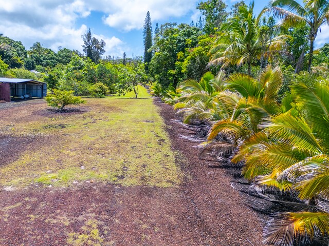 Kamaili Rd, Pahoa, HI 96778 - photo 6