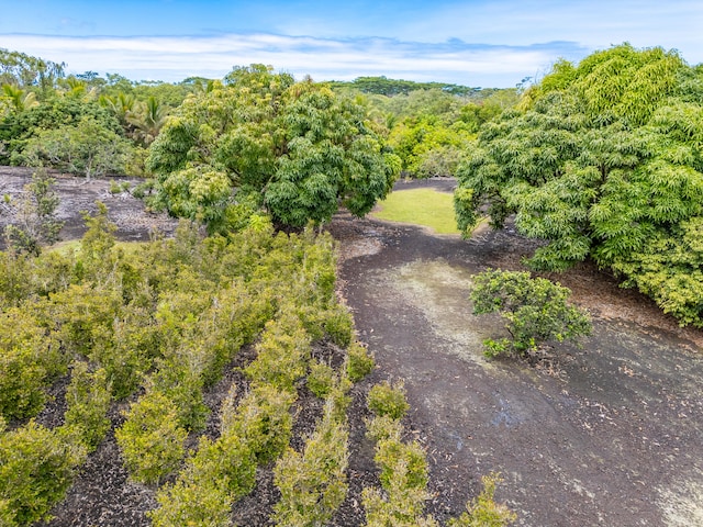 Kamaili Rd, Pahoa, HI 96778 - photo 7