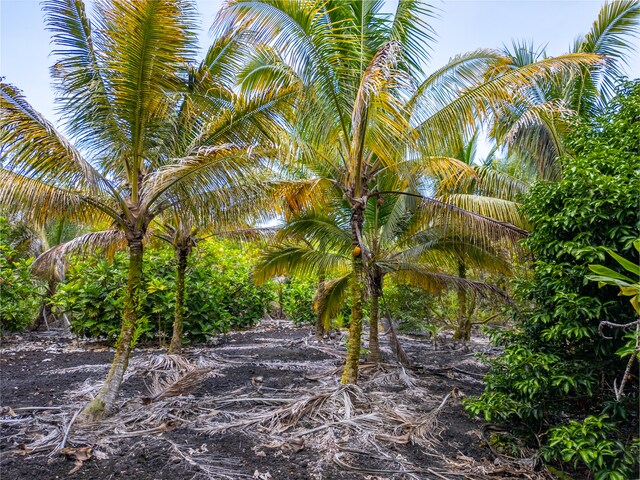Kamaili Rd, Pahoa, HI 96778 - photo 8