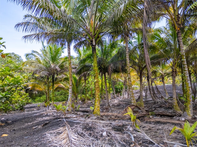 Kamaili Rd, Pahoa, HI 96778 - photo 9