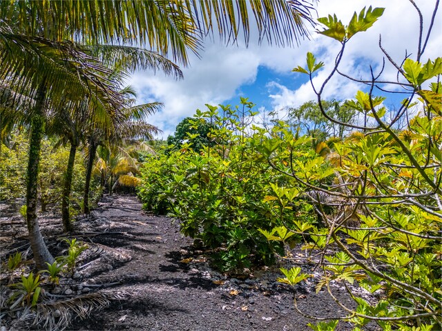 Kamaili Rd, Pahoa, HI 96778 - photo 10