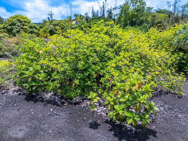 Kamaili Rd, Pahoa, HI 96778 - photo 12