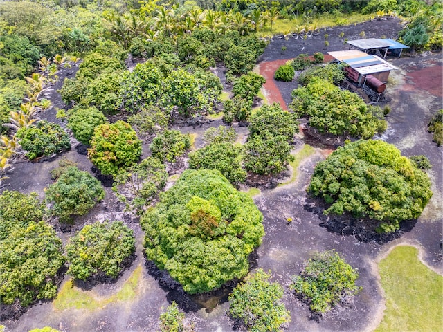 Kamaili Rd, Pahoa, HI 96778 - photo 13
