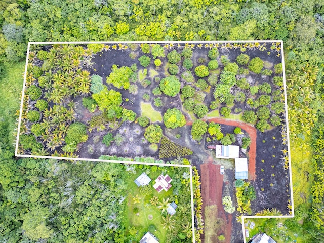 Kamaili Rd, Pahoa, HI 96778 - photo 19