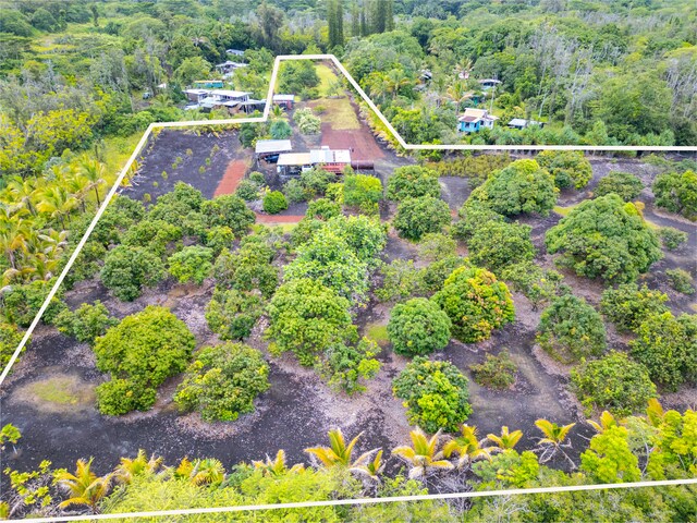 Kamaili Rd, Pahoa, HI 96778 - photo 20