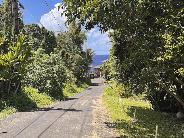 Kamakoa St, Pahoa, HI 96778 - photo 2
