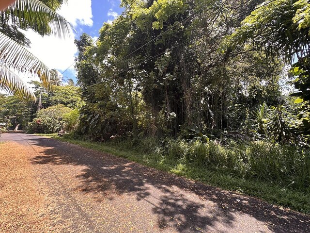 Kamakoa St, Pahoa, HI 96778 - photo 3