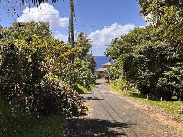 Kamakoa St, Pahoa, HI 96778 - photo 5