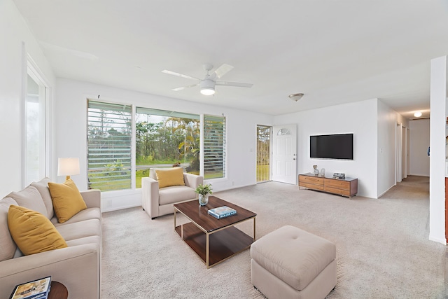 16-501 Ainaloa Blvd, Pahoa, HI 96778 - photo 8