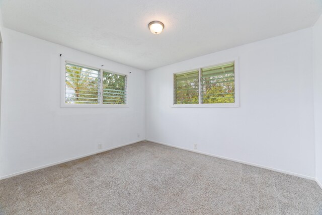 16-501 Ainaloa Blvd, Pahoa, HI 96778 - photo 16