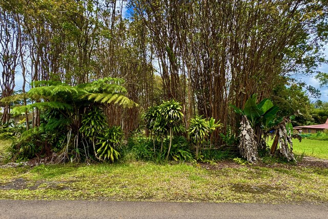 18-1993 Hapuu Nani Rd, Volcano, HI 96785