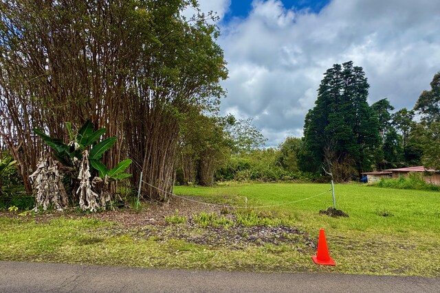 18-1993 Hapuu Nani Rd, Volcano, HI 96785