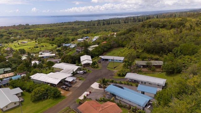 28-2855 Onomea Pl, Pepeekeo, HI 96783 - bird's eye view of a forest and a large body of water