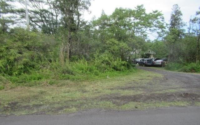16-248 Orchidland Dr, Keaau, HI 96749 - view of asphalt road