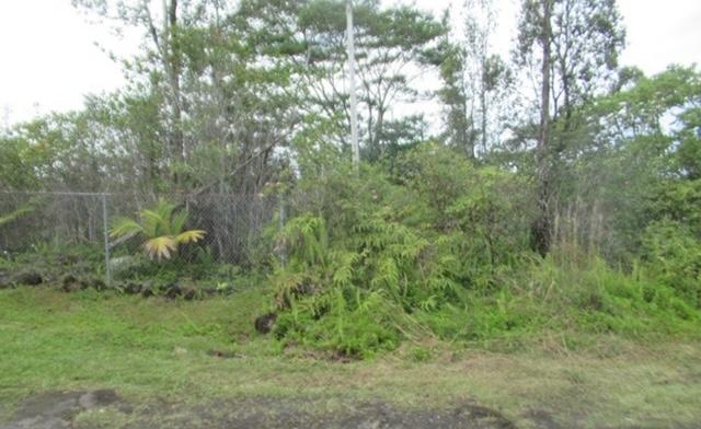 16-248 Orchidland Dr, Keaau, HI 96749 - view of undeveloped land