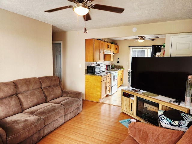 272 Kapiolani St Unit 203, Hilo, HI 96720 - living area with a ceiling fan, a textured ceiling, and light wood-style floors