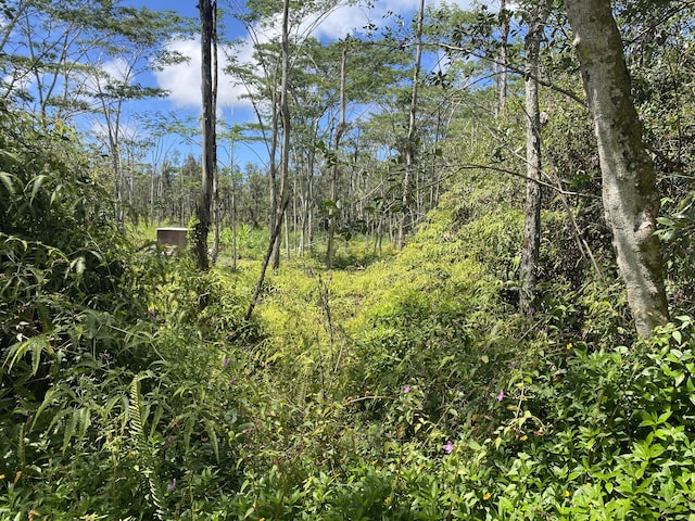 Seadrift Rd, Pahoa, HI 96778