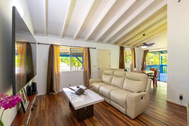 16-2103 Kuleana St, Pahoa, HI 96778 - living area with lofted ceiling and dark wood-style floors