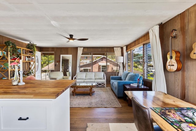 35 Pono St, Hilo, HI 96720 - living area featuring wooden walls, healthy amount of natural light, a ceiling fan, and dark wood finished floors