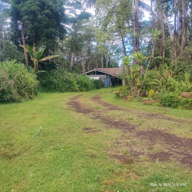 13-3313 Moku St, Pahoa, HI 96778 - view of grassy yard