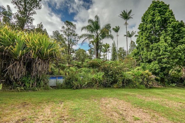 11-1877 Ahiukau St, Mountain View, HI 96771 - view of grassy yard featuring an outdoor pool