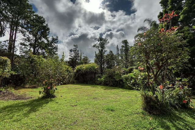 11-1877 Ahiukau St, Mountain View, HI 96771 - view of grassy yard