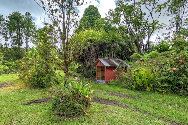 11-1877 Ahiukau St, Mountain View, HI 96771 - view of green lawn featuring a storage unit