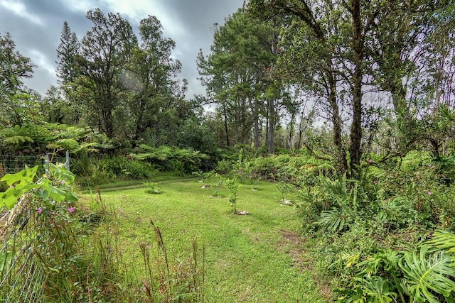 11-1877 Ahiukau St, Mountain View, HI 96771 - view of green lawn