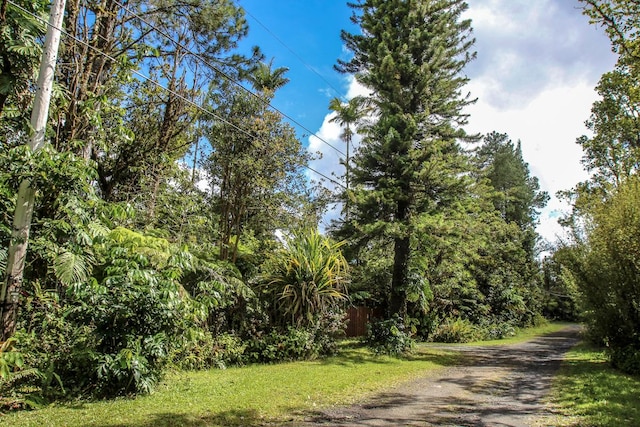 11-1877 Ahiukau St, Mountain View, HI 96771 - view of street