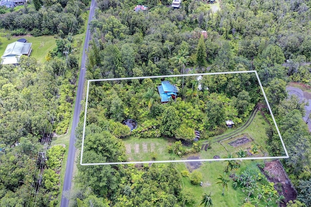 11-1877 Ahiukau St, Mountain View, HI 96771 - aerial view of property and surrounding area with property boundaries highlighted