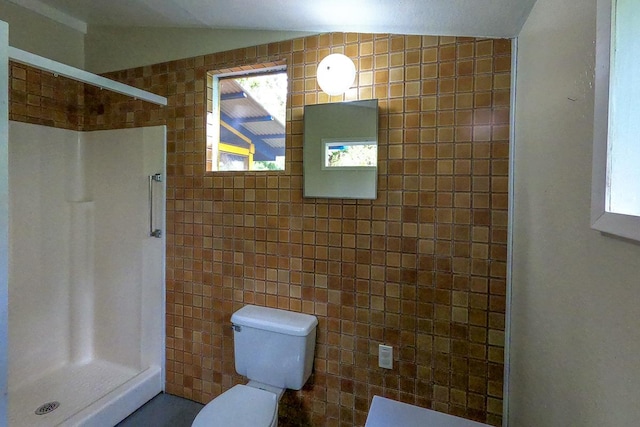 11-1877 Ahiukau St, Mountain View, HI 96771 - bathroom with lofted ceiling, a shower stall, healthy amount of natural light, and tile walls