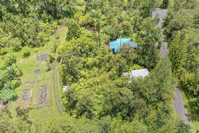 11-1877 Ahiukau St, Mountain View, HI 96771 - aerial view