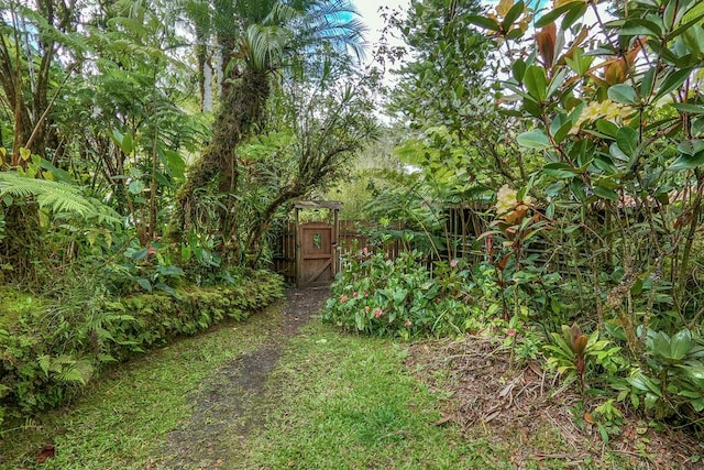 11-1877 Ahiukau St, Mountain View, HI 96771 - view of yard featuring a gate