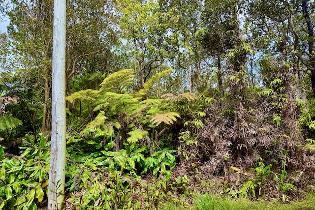 Anuhea Pl, Volcano, HI 96785