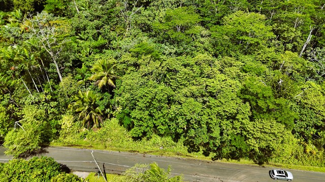 Pomaikai St, Pahoa, HI 96778