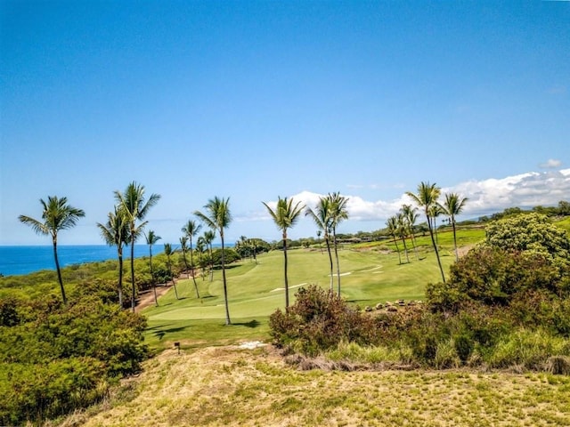 81-474 Kaoo St, Kealakekua, HI 96750