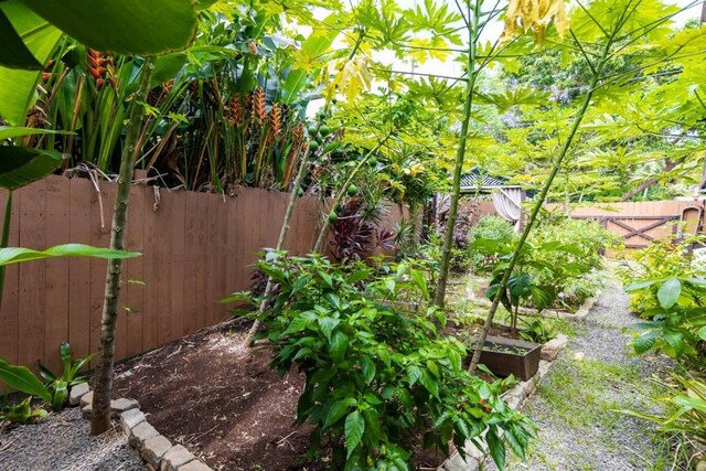 3590 Moloaa Rd, Anahola, HI 96746 - photo 11