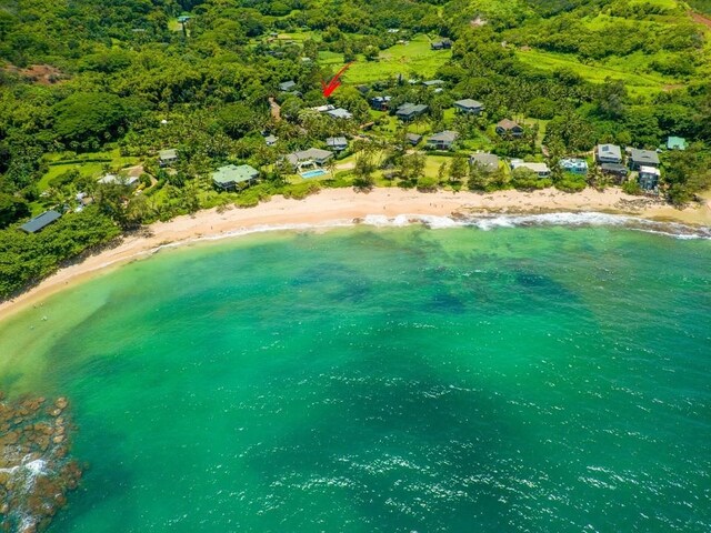 3590 Moloaa Rd, Anahola, HI 96746 - photo 19