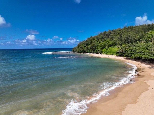 3590 Moloaa Rd, Anahola, HI 96746 - photo 20