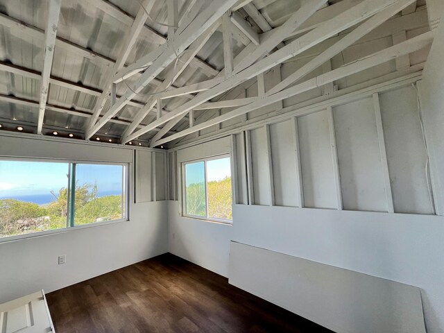 94-6479 Puukani Rd, Naalehu, HI 96772 - empty room featuring dark wood-type flooring
