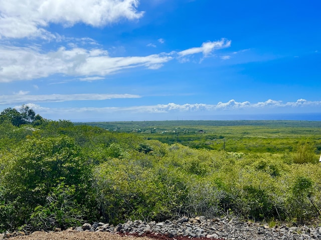 94-6479 Puukani Rd, Naalehu, HI 96772 - view of wooded area