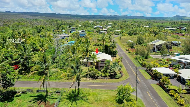 12-7040 Kaihalulu St, Pahoa, HI 96778 - bird's eye view of a forest