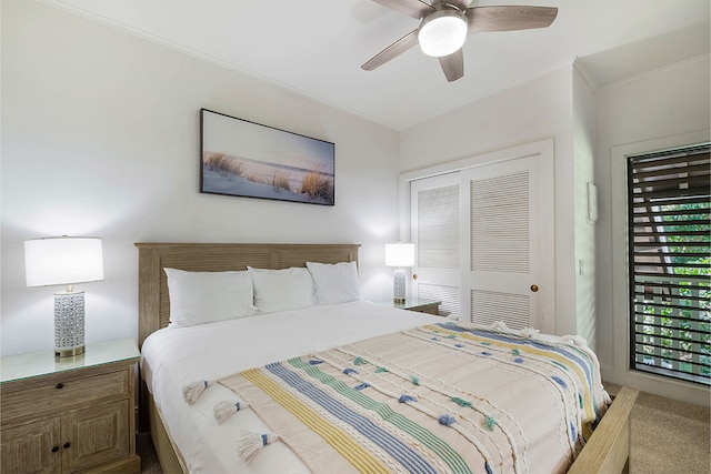 2253 Poipu Rd Unit 230, Koloa, HI 96756 - bedroom with crown molding, a closet, a ceiling fan, and carpet flooring