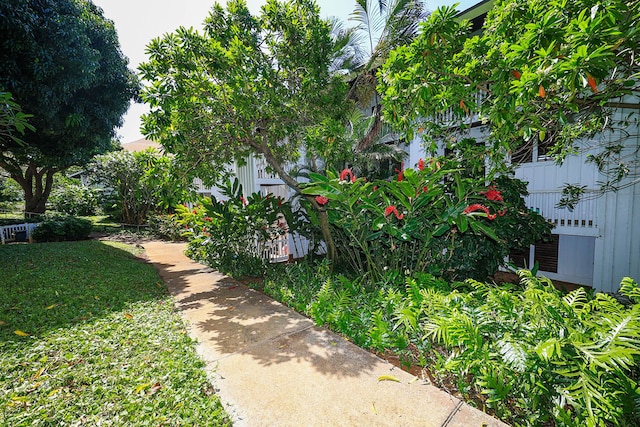 2253 Poipu Rd Unit 230, Koloa, HI 96756 - view of yard