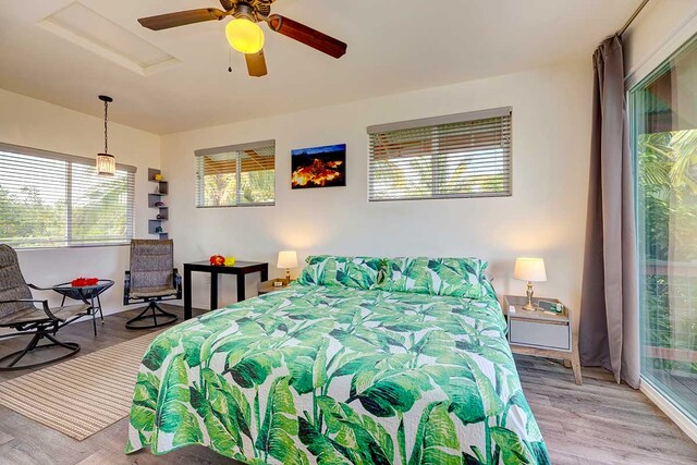 12-7036 Kaiwa St, Pahoa, HI 96778 - photo 17