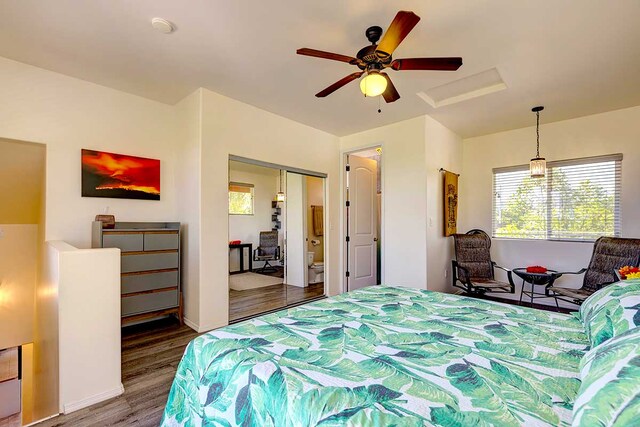 12-7036 Kaiwa St, Pahoa, HI 96778 - photo 13