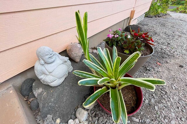 12-7036 Kaiwa St, Pahoa, HI 96778 - photo 24