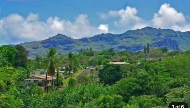 2928 Waa Rd, Lihue, HI 96766 - photo 1