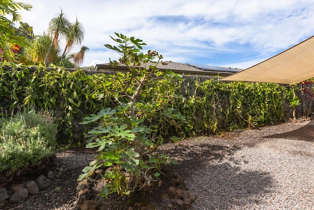 76-4391 Leilani St, Kailua-Kona, HI 96740 - view of yard