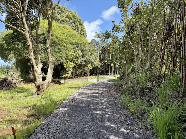 Chin Chuck Rd, Hakalau, HI 96710